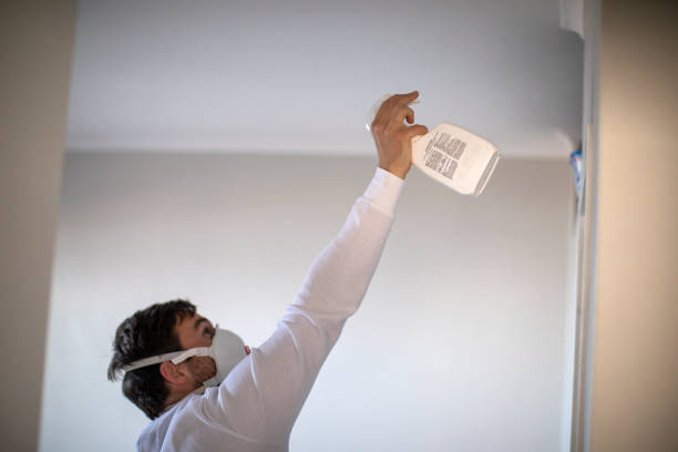 Crawl Space Mold Removal in Hillcrest Heights, MD