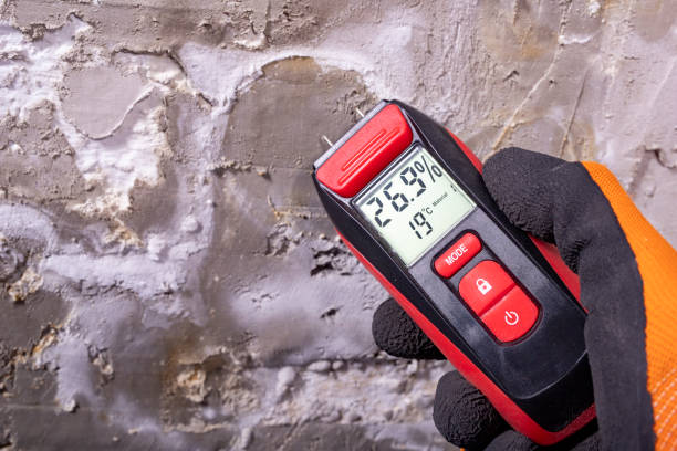 Best Crawl Space Mold Removal  in Hillcrest Heights, MD