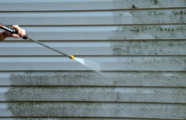 Best Local Mold Removal Service  in Hillcrest Heights, MD