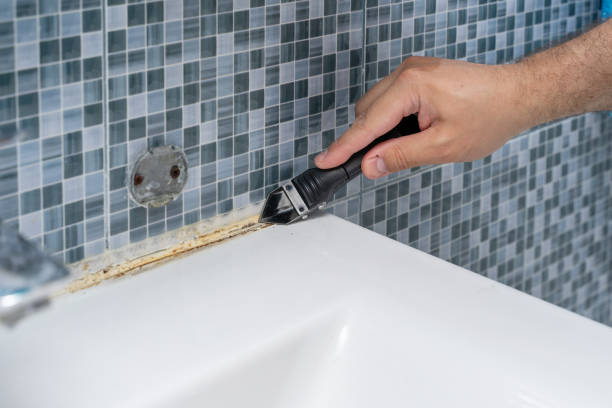 Best Commercial Mold Removal  in Hillcrest Heights, MD